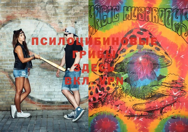 кокаин перу Ладушкин